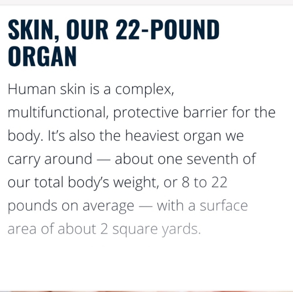 Island Citrus with Sage Bath Bombs - Picture 14 of 14